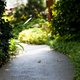 Illustration for article titled Muttart Conservatory - Tamron 90mm Review